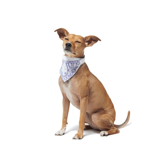 NWT Bark Box Toy - Picture 4 of 8